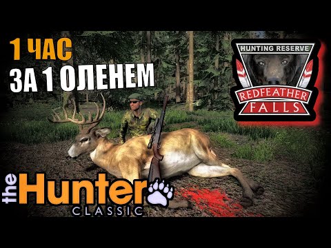 Видео: Карта Была Пустая Но Я Его Нашёл The Hunter Classic
