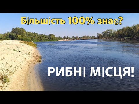 Видео: Як шукати та знайти рибу на річці