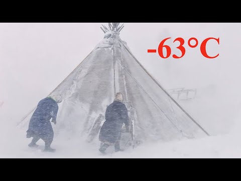 Видео: Как живут кочевники Крайнего Севера при низких температурах в лесотундре. Арктика. Ямал.