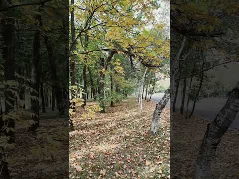 Видео: Сентябрь любимый месяц года