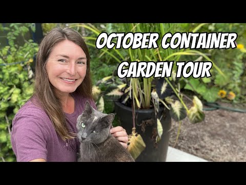 Видео: Октябрьский тур по контейнерному саду