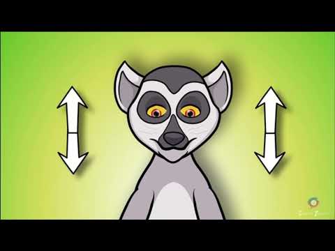 Видео: Велика буква М  - 1клас ( Пономарьова)