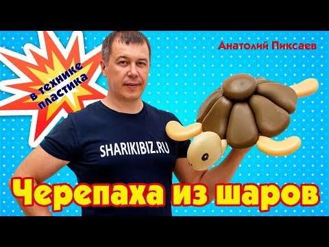 Видео: Черепаха из шаров