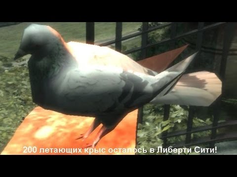 Видео: Голуби балкон что делать