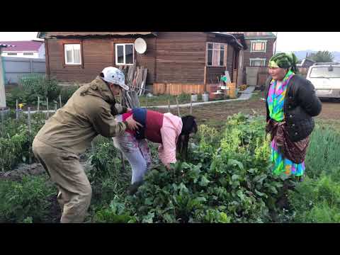 Видео: «Долгор Бадма хоёр»