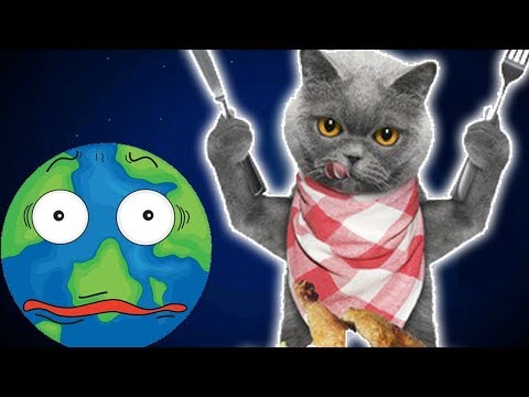 Видео: Котик Едун и съедобная планета, мультик игра Детский летсплей, Tasty Planet #3