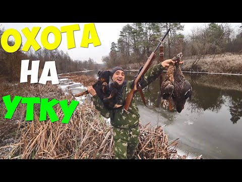 Видео: Выживание! [2-часть] Охота на утку! Шулюм из утки!