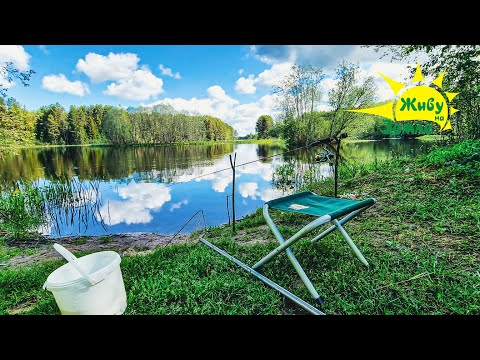 Видео: Мини донка на Лесной речке. Видео Рыбалка