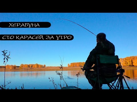 Видео: БЕШЕНЫЙ КЛЁВ КАРАСЯ. НОВОЕ ТЕСТО!