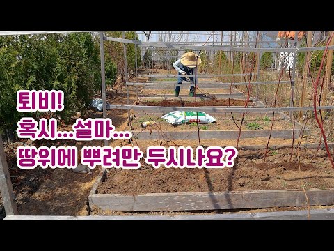 Видео: Как правильно использовать компост в поле или цветочном погребе, как упаковать цветочное погреб