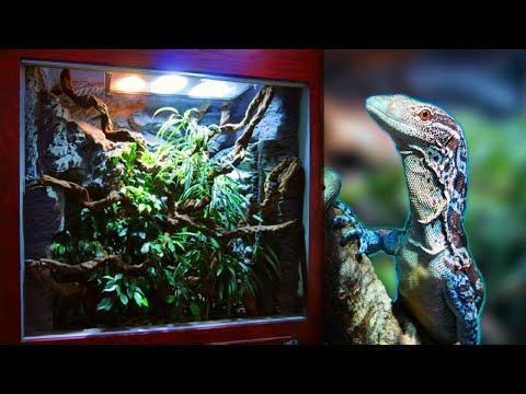 Видео: Как я сделал огромный виварий для рептилий — полная сборка!