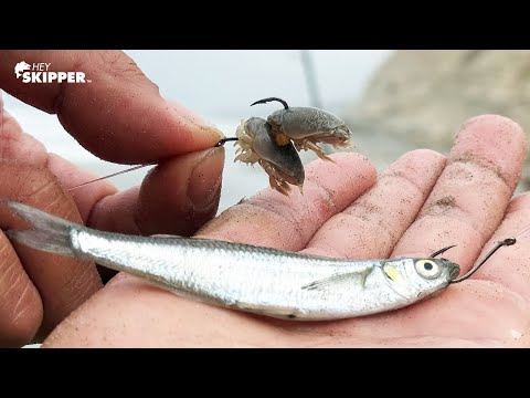 Видео: НЕТ НАЖИВКИ!? — Я обыскал пляж, чтобы порыбачить! (Калифорнийская пляжная рыбалка)