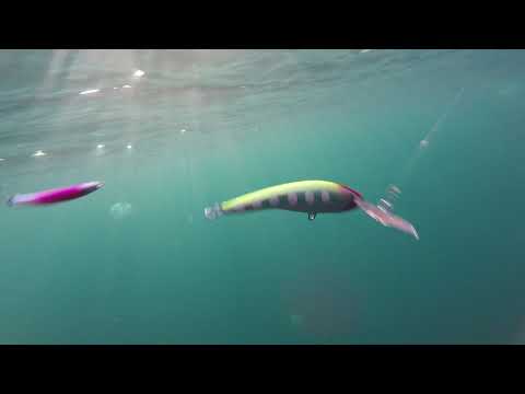Видео: The trolling lures by Varna Fishing / Тролинг нокти в действие