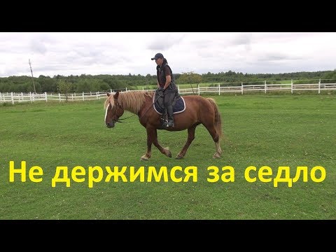 Видео: Почему нельзя держаться за седло