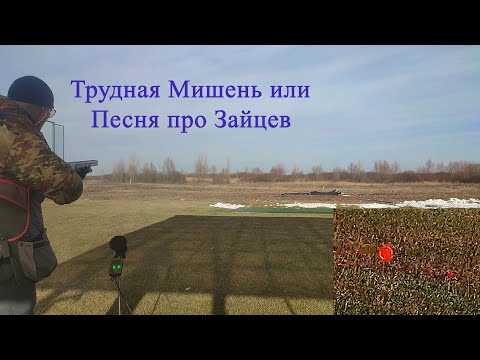Видео: Трудная Мишень или Песня про Зайцев