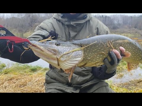 Видео: В ПОИСКАХ ТРОФЕЙНОЙ ЩУКИ!!! Серия седьмая, заключительная...