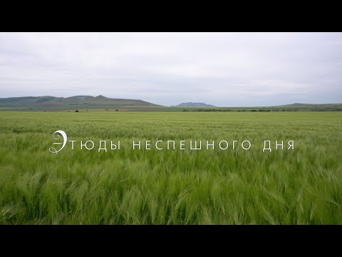 Видео: Этюды неспешного дня