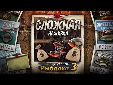 Видео: НЕ ЗАРАБОТОК, но просто неуловимая Пиранья. Как Стать Миллионером в РР3.