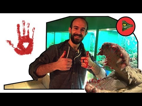 Видео: КАК НЕЛЬЗЯ СОДЕРЖАТЬ КРОКОДИЛА! Подготавливаем аквариум! КРОКОДИЛ РАЗОРВАЛ РУКУ!