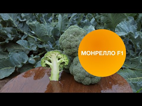 Видео: МОНРЕЛЛО F1 | Овощная усадьба