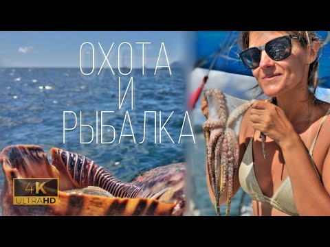Видео: КАРИБСКАЯ РЫБАЛКА когда дары моря бесконечны 4K