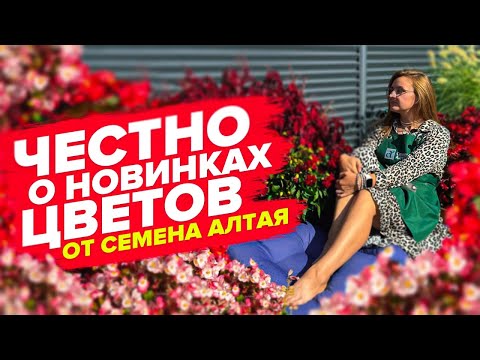 Видео: НОВИНКИ ЦВЕТОВ СЕМЕНА АЛТАЯ В 2024! Опыт выращивания. Вербена бонарская