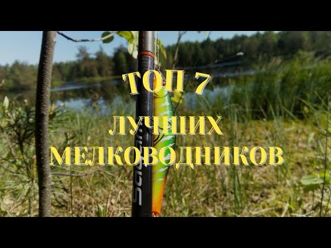 Видео: Топ 7 лучших приманок для мелководья.