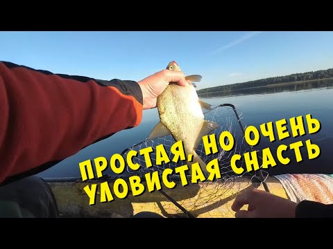Видео: Самая простая, но очень уловистая бортовуха...