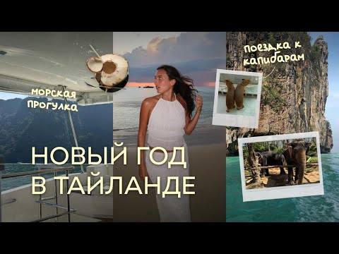 Видео: НОВЫЙ ГОД В ТАЙЛАНДЕ | Слоны, капибары, ленивый отдых и морская прогулка