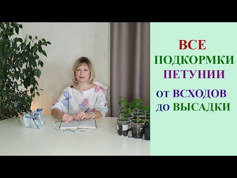 Видео: СХЕМА ПОДКОРМОК ПЕТУНИИ ОТ ВСХОДОВ ДО ВЫСАДКИ НА ПОСТОЯННОЕ МЕСТО И ВЕСЬ СЕЗОН.