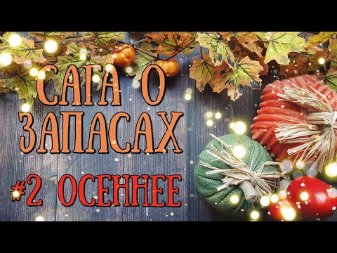 Видео: 99. Сага о запасах: #2 Осеннее