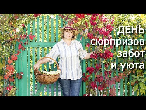 Видео: Дачный vlog. Дрова с неба. Лохикейтто на обед. Проводы. Неодинокий вечер у камина. Мои стихи