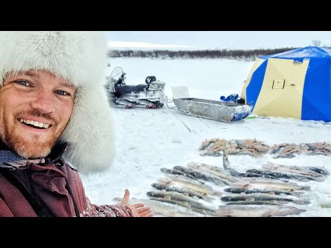 Видео: Я ОКУНЕЛ! С НОЧЁВКОЙ В ТУНДРУ ЗА ПОЛЯРНОЙ ЩУКОЙ! День первый. Рыбалка в ЗАПОЛЯРЬЕ часть 4