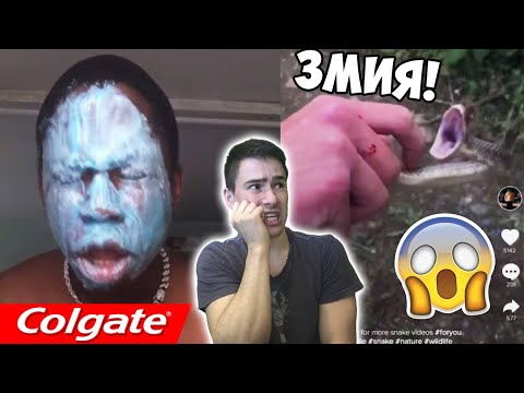 Видео: НАЙ–ЛУДИТЕ ПРЕДИЗВИКАТЕЛСТВА В TIK TOK