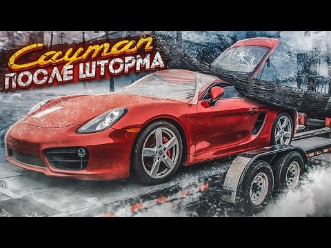Видео: Заряженный Porsche Cayman S с аукциона США копарт. Тесла с пробегом более 600,000 с офиса Tesla