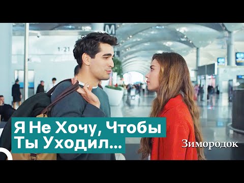 Видео: Сейран Помешала Фериту Уйти | Зимородок