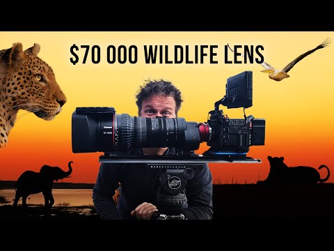 Видео: Съёмка дикой природы в Ботсване с объективом за 70 000 долларов — Canon CN20x50 50-1000mm #дикая ...