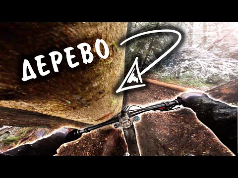 Видео: По новым трассам в СНЕГ | Байк-парк Архыз