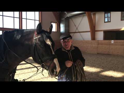 Видео: Школа Угрюмова. Ответы на вопросы.