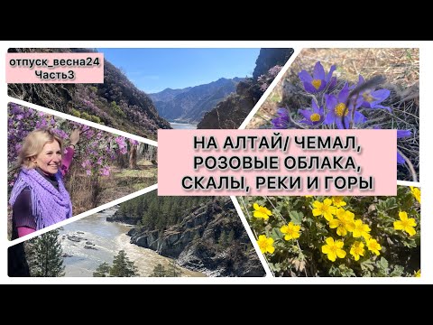 Видео: НА АЛТАЙ/ ЧЕМАЛ, РОЗОВЫЕ ОБЛАКА, СКАЛЫ, РЕКИ И ГОРЫ
