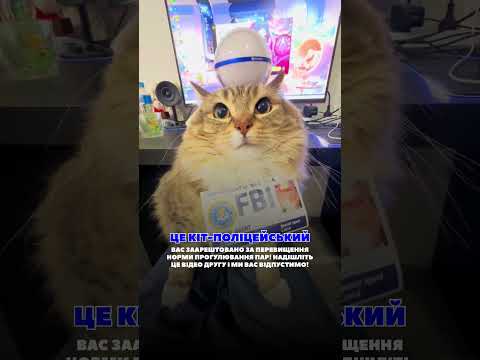 Видео: Не жартуйте з котиком-поліцейським 😾💙  #навчання #каразіна #каразінський #універ #студенти