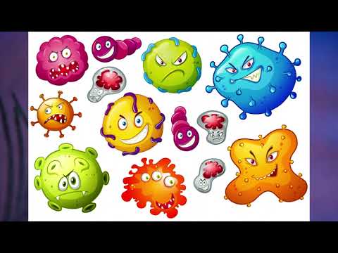 Видео: "Царство бактерий. Подцарство настоящие бактерии", Биология 7 класс