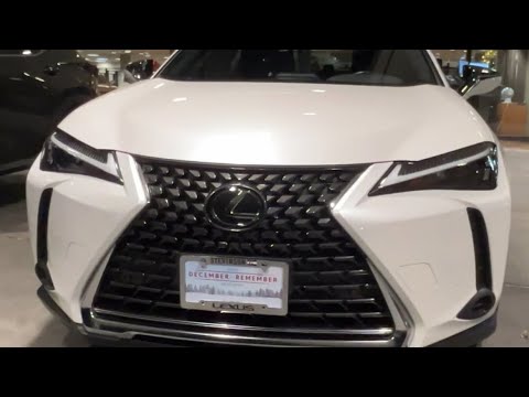 Видео: Lexus : AWD UX 250h (белую машину купили на черную пятницу)..🫣🤫👍👀🇺🇸🙏