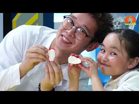 Видео: Ушул убакка чейин канча миллиард тонна пластик өндүрүлгөн? | Билесиңби? | 2022