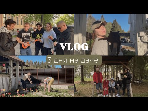 Видео: VLOG: 3 ДНЯ НА ДАЧЕ С ДРУЗЬЯМИ
