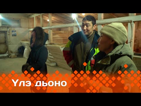 Видео: «Үлэ дьоно»  (02.04.24)