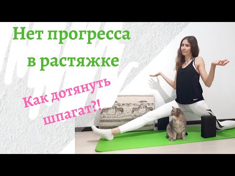 Видео: 8 причин почему нет прогресса в растяжке | Не получается сесть на шпагат