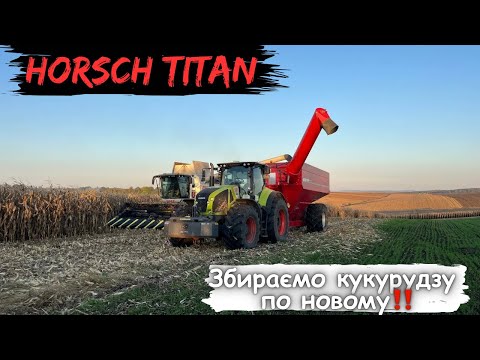 Видео: 🌽🌽🌽Сезон кукурудзи 2️⃣0️⃣2️⃣4️⃣ розпочато‼️