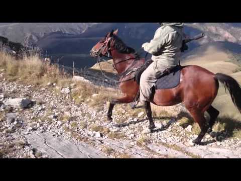 Видео: Вот так может только. Лошадь Кабардинской Породы!!