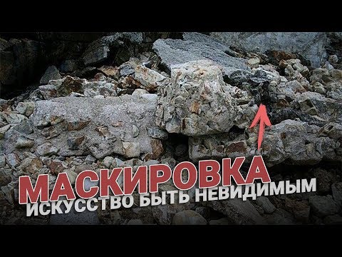 Видео: Маскировка: искусство быть невидимым